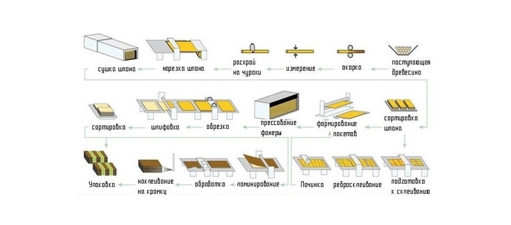 Shema-izgotovlenia-faneri.jpg